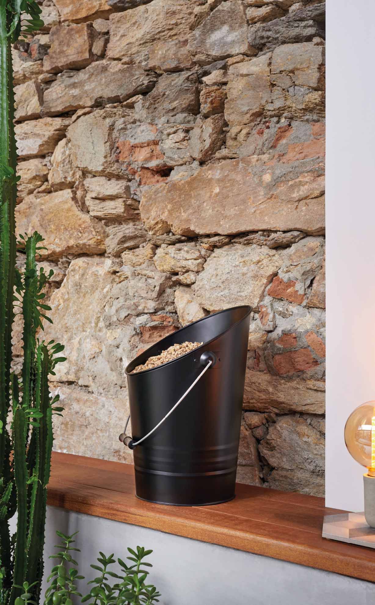 DIXNEUF -bucky-seau-granule-pellets-ambiance-fp
